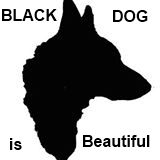A fekete kutya is gyönyörű